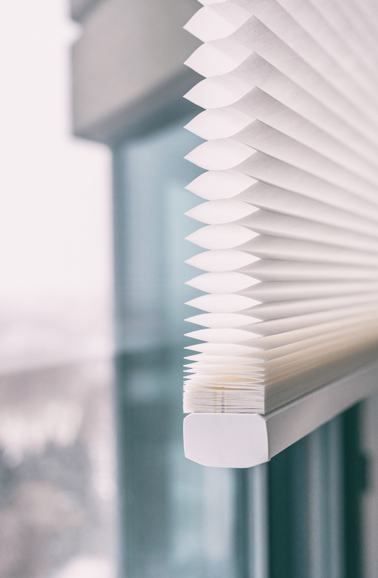 CELLULAR SHADES PRESCOTT SHUTTERS - THE LEADING TREATMENT SPECIALISTS