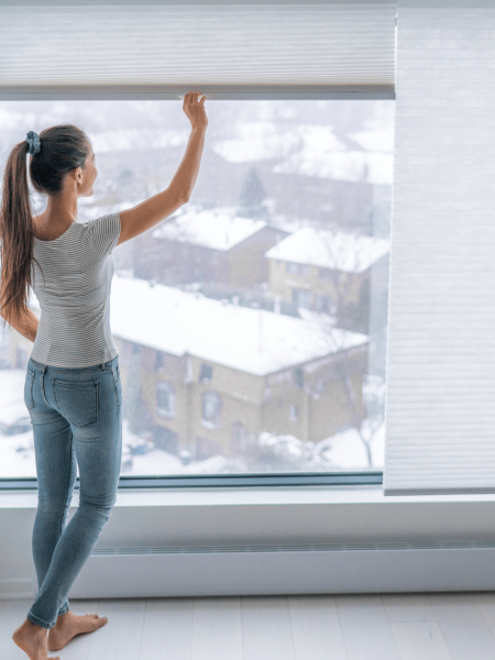 CELLULAR SHADES PRESCOTT SHUTTERS - THE LEADING TREATMENT SPECIALISTS